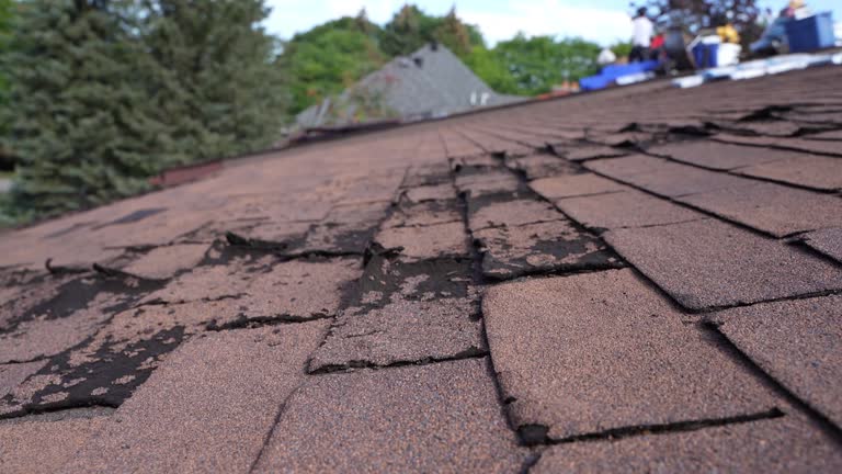 Best Flat Roofing  in Paducah, KY