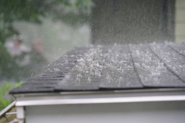 Best Roof Moss and Algae Removal  in Paducah, KY