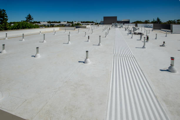 Best Commercial Roofing Services  in Paducah, KY